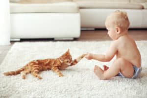 Baby spielt mit Katze zuhause