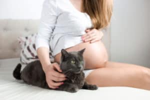 Schwangere Frau streichelt ihre Hauskatze